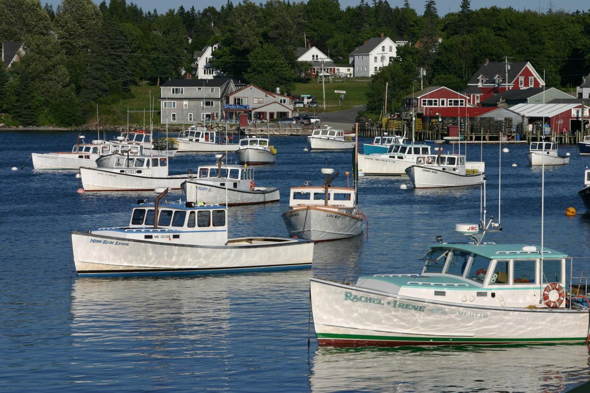 Lighthouse Cabins Maine Bass Harbor Eksteriør billede
